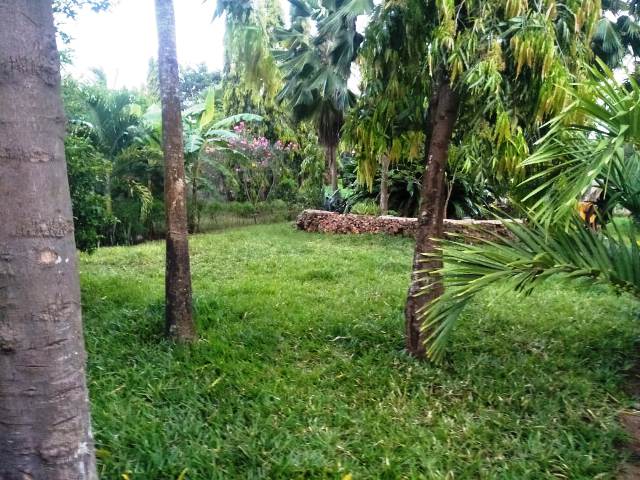 Dofra Solutions is selling a prime one acre piece of land at Lavington Nairobi. The land is located in a prime neighbourhood and in accessible location. The property is located in a gated community where security is excellent. The land is prime and it has a title deed. For more details and viewing contact us on 0720658764 or send us an email to info@dofrasolutions.com